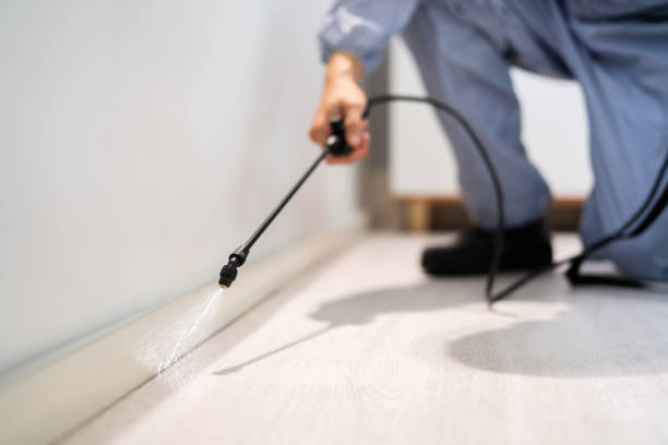 Bed Bug Pre-Treatment Preparation Assessment in Midtown