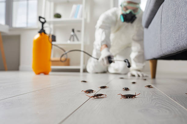 Post-Treatment Bed Bug Interceptor Monitoring in Midtown