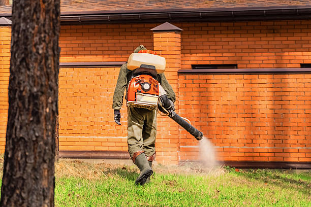 Bed Bug Clearance Verification and Documentation in Midtown